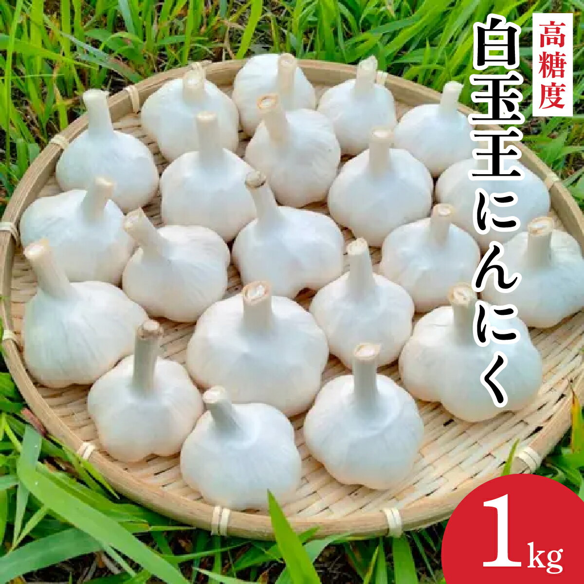 【ふるさと納税】白玉王にんにく　1kg 【30P3224】 ニンニク 国産 スタミナ 野菜 和食 和 日本食 おつまみ おかず お取り寄せ グルメ 秋田県 大館市 送料無料 東北 OLAHO