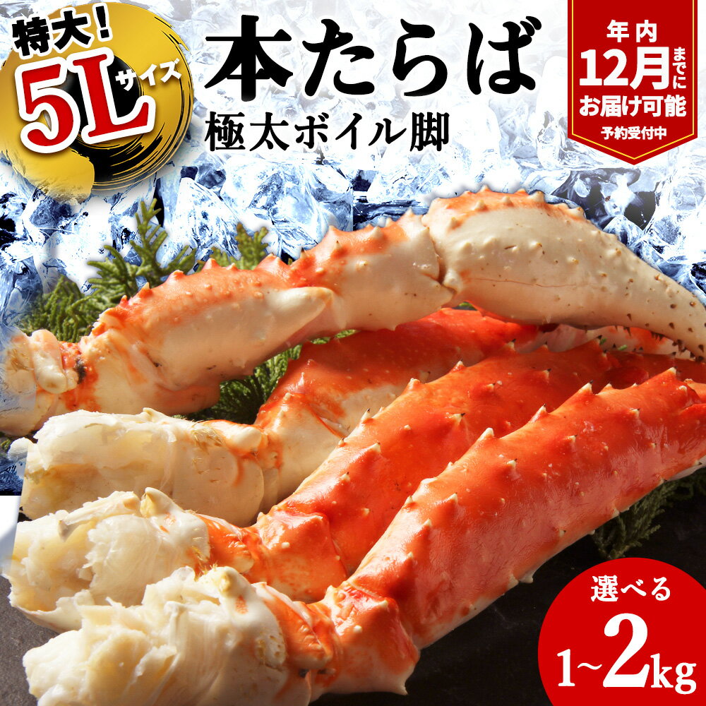 【ふるさと納税】【選べる1~2kg】本たらば蟹ボイル脚1kg 海鮮 たらば蟹 たらば タラバガニ カニ 蟹 蟹足 かに脚 北海道 【1肩1kgの極太5Lサイズ】【配送不可地域：離島・沖縄県】