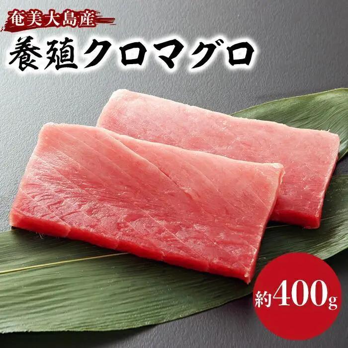 奄美大島産養殖クロマグロ 2柵セット 400g以上 中トロ 赤身 冷凍 | 黒マグロ