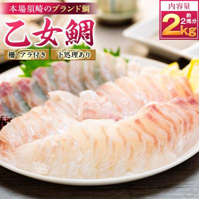ふるさと納税 須崎市 【本場須崎のブランド鯛】 乙女鯛 刺身 柵 アラ付き 2尾 セット 2kg
