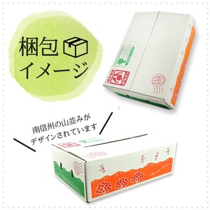 南信州産 サンふじ 約2.5kg 9～10玉 | りんご 林檎 リンゴ サンふじ 果物 フルーツ ジューシー 信州 南信州 送料無料 ふるさと納税 長野県 飯田市