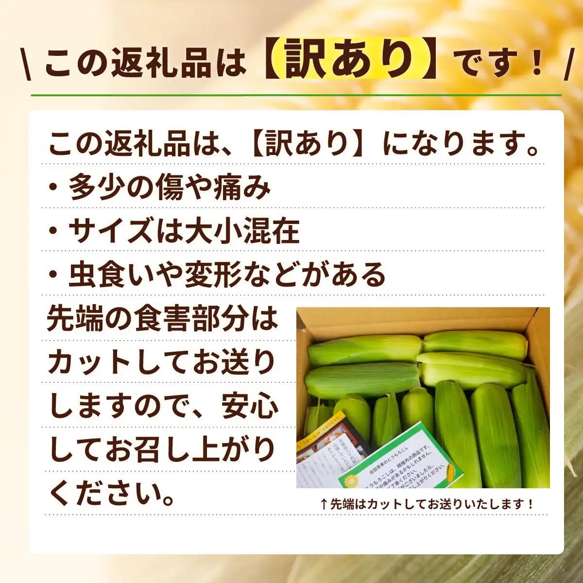 とうもろこし 訳あり ゴールドラッシュ 6kg 茨城県産 トウモロコシ 深夜採り 朝出荷