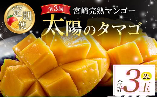 
            宮崎特産「太陽のタマゴ2L×1玉」お届け定期便（全3回）計3玉 特産 国産 果物 フルーツ 旬 産地直送【E222-26】
          
