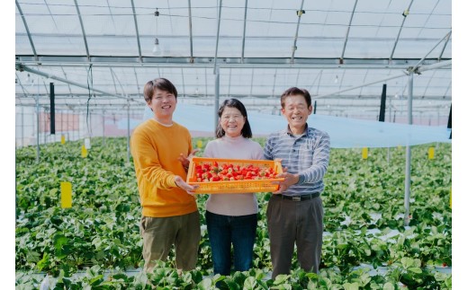 【2027年3月発送】 【先行予約】 いちご 化粧箱入り 宇城市産 あまおとめ 約600g（約300g×2パック） 【2027年3月上旬～2027年3月下旬頃発送予定】 合計600g 果物 くだもの フルーツ 果実 苺 イチゴ NAGATA FARM