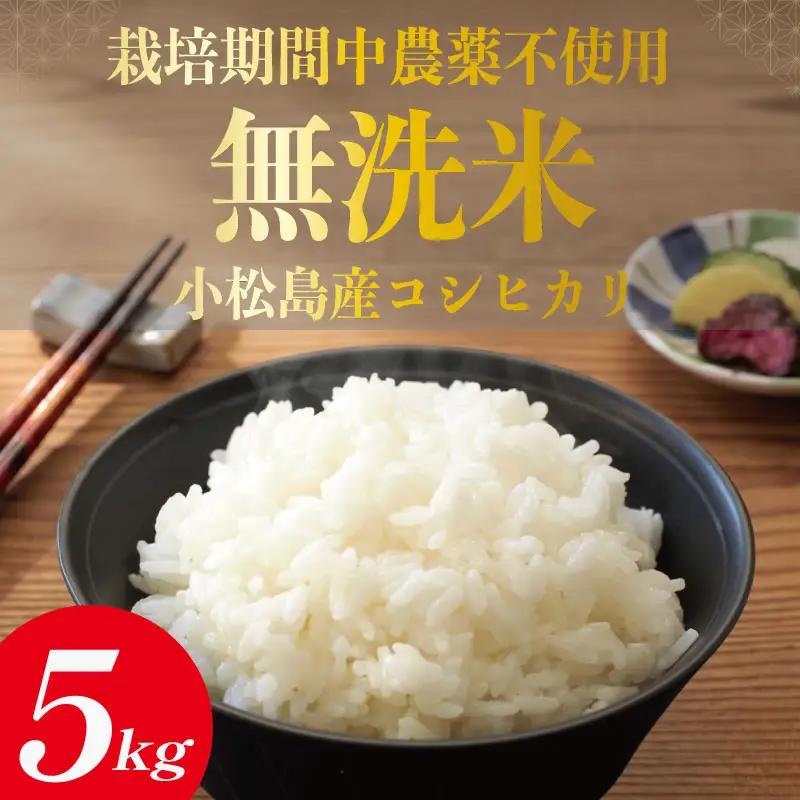 令和7年産 無洗米 5kg 栽培期間中農薬不使用 米 白米 お米 コメ こしひかり コシヒカリ おむすび おにぎり 徳島県産 小松島市
