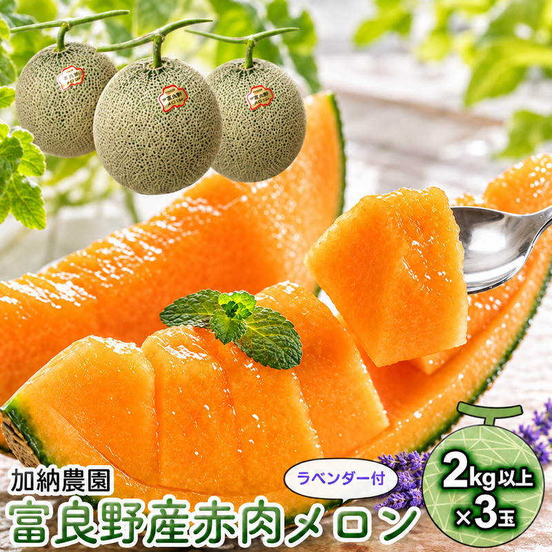 【2027年7月～発送】富良野産 赤肉 メロン ≪ラベンダー付≫ 3玉 計6kg以上 北海道 富良野市 (加納農園) メロン フルーツ 果物 新鮮 甘い 贈り物 ギフト 道産 ジューシー おやつ ふらの ブランド 夏