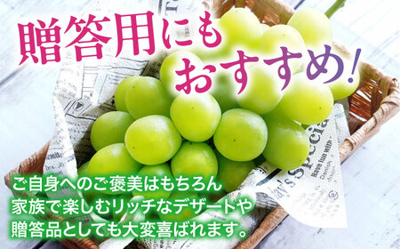 【先行予約】【2025年8月中旬から順次発送】シャインマスカット2kg（4から6房）愛媛県大洲市/有限会社ふじブドウ園 果物 くだもの フルーツ 葡萄 ぶどう マスカット[AGDB002]