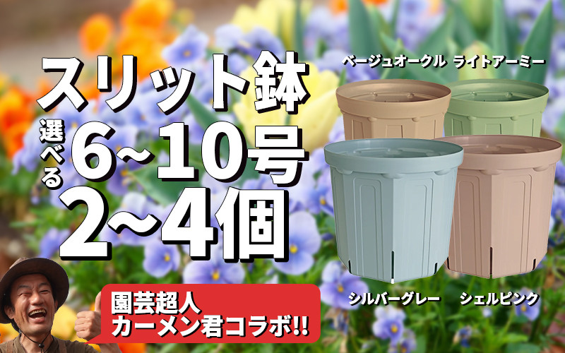 
            スリット鉢 選べる サイズ 6号 7号 8号 10号 4色 カラーセット 単色 植木鉢 植物 果樹 野菜 観賞用 園芸 はち 鉢 ハチ 園芸用品 園芸資材 ガーデニング 花 植木鉢 植物 果樹 野菜 観賞用 園芸 はち 鉢 ハチ 園芸用品 園芸資材 ガーデニング 花 植木鉢 植物 果樹 野菜 観賞用 園芸 はち 鉢 ハチ 園芸用品 園芸資材 ガーデニング 花 カーメン君 兼弥産業 南知多 愛知
          