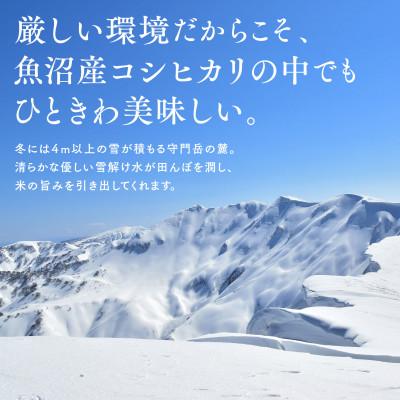 ふるさと納税 魚沼市 令和7年産　魚沼産コシヒカリ『雪の恵』(精米)　5kg |  | 01