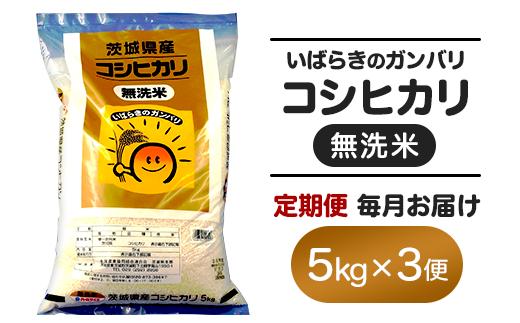 157 無洗米 コシヒカリ 5kg 定期便 令和6年 茨城県産【3ヵ月連続お届け】