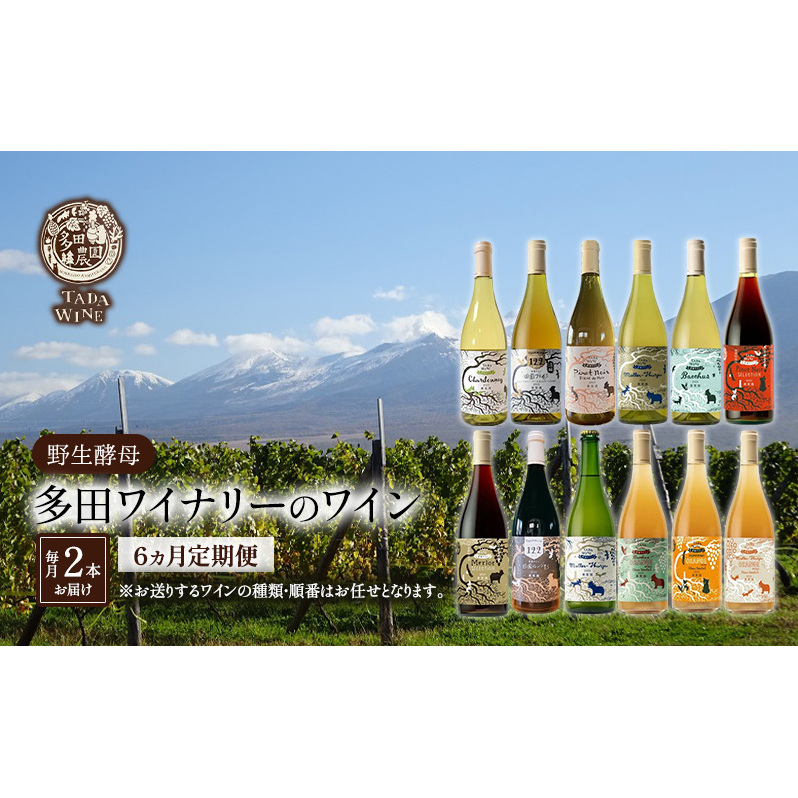 ワイン6ヵ月定期便◎月2本×6回◎多田ワイナリー◎野生酵母ワイン 北海道 上富良野町 ワイン 赤ワイン 白ワイン 微発泡ワイン オレンジワイン