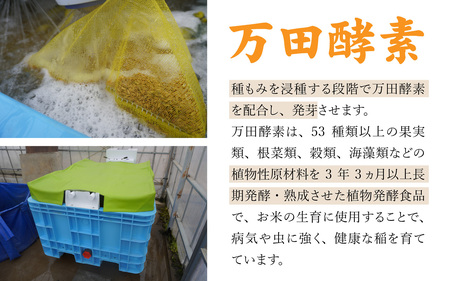 （令和6年産）万田酵素で育てた健康米 福井県産こしひかり5kg 精米  [A-150002] 