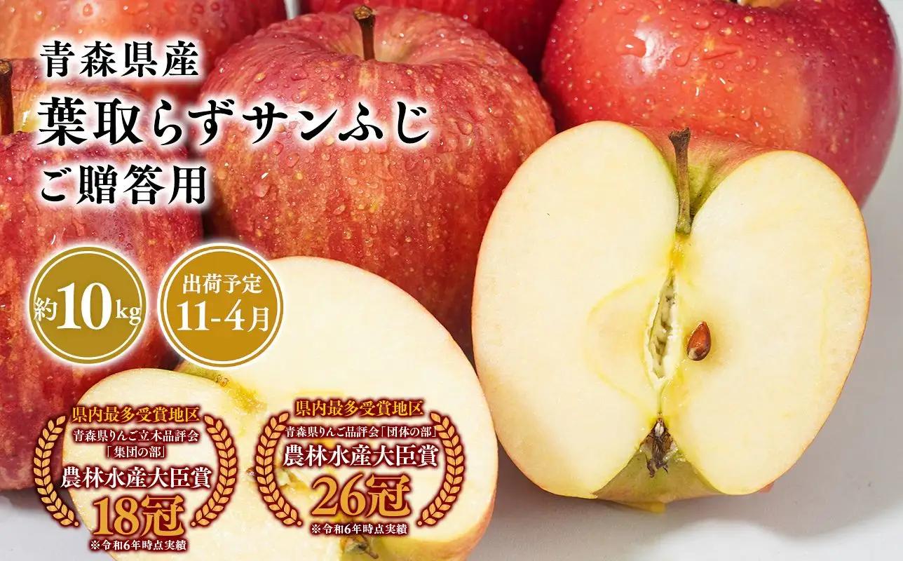 りんご 贈答用 葉とらずサンふじ10kg 【hi-0053-052】