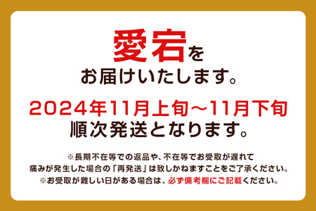 柴沼梨園の梨（愛宕）梨 5kg 大玉 5～10個入り ナシ なし 国産 茨城 秋 旬 フルーツ 果物 先行予約【11月上旬～11月下旬発送】秋の味覚 旬の果物 くだもの 大きい サイズ 品種 愛宕 産