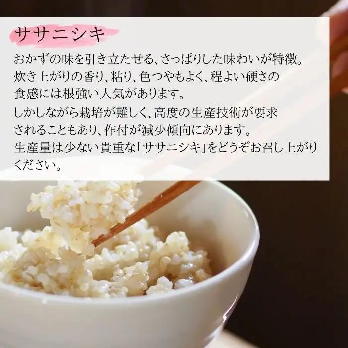 【先行予約】【令和8年産】【新米】【令和8年10月中旬～順次発送】 ササニシキ 玄米 30kg C｜ササニシキ