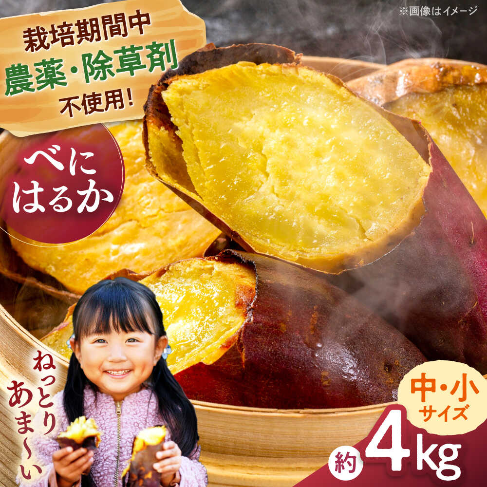 【ふるさと納税】[栽培期間中農薬不使用]さつまいも　4kg（紅はるか）▼やきいも 焼き芋 焼きいも サツマイモ いも さつまいも 紅はるか 合鴨家族 古野農場/桂川町[ADAL016] 9000 9000 9千円