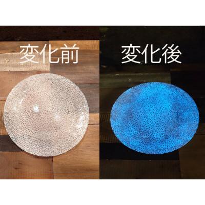 ふるさと納税 多治見市 【暗闇に輝く、卓上の新たな魔法】ルミナスシリーズ プレート (小) ブルー