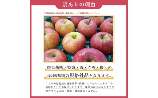 ふぞろいなりんご達（シナノスイート）10kg【JAかづの】●2026年10月中旬頃発送開始  訳あり 鹿角産 りんご シナノスイート 10kg 家庭用 規格外 お徳用 林檎 リンゴ 完熟 旬 県産りん