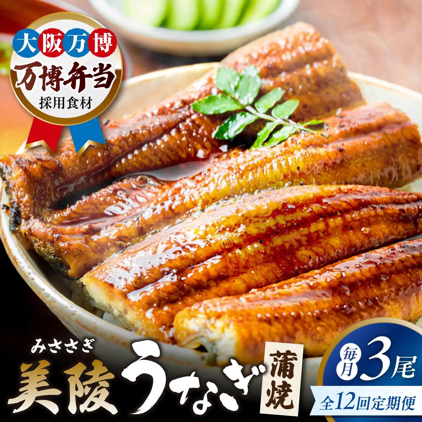 【12回定期便】鰻 鰻の蒲焼 3尾 BLAM048