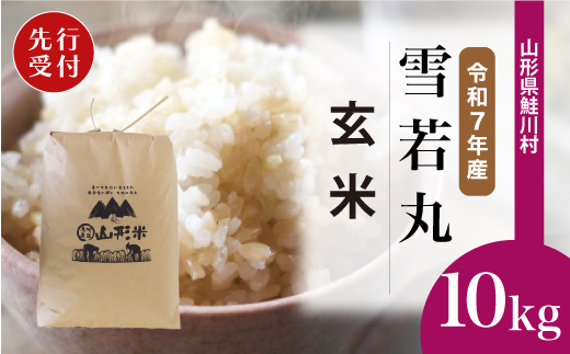 ＜令和7年産米先行受付＞ 令和8年9月下旬発送　雪若丸 【玄米】 10kg （10kg×1袋） 鮭川村