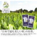 【ふるさと納税】奥八女星野村 深蒸し高級煎茶(深蒸し茶)100g×2袋【1463198】