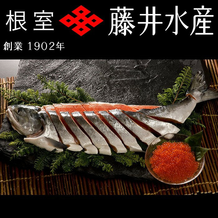 【ふるさと納税】 [北海道根室産] ＜鮭匠ふじい＞ 新巻鮭 1.5kg ・いくら 80g × 4P イクラ 醤油 醤油漬 醤油漬け 魚卵 鮭卵 鮭 さけ サケ しゃけ シャケ 魚 さかな サカナ お取り寄せ グルメ 海鮮 塩鮭 塩ざけ 切り身 切身 北海道 根室市 ふるさと納税 C-42010