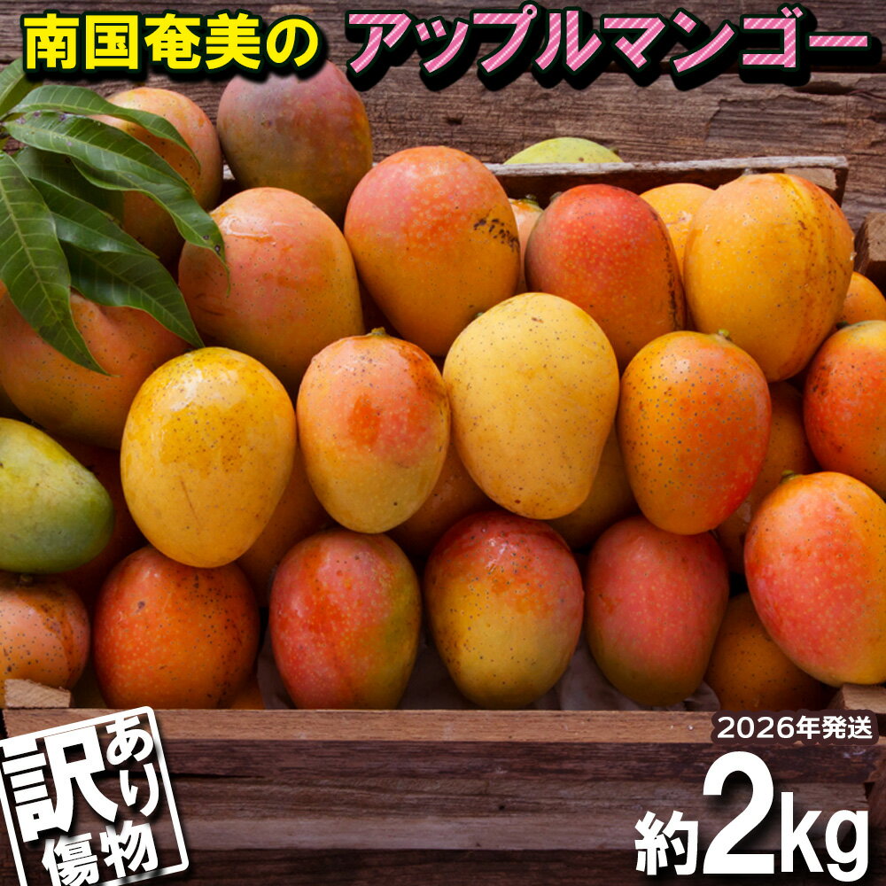 【ふるさと納税】南国奄美のアップルマンゴー 傷物・訳あり 約2kg【2026年発送】 鹿児島県 奄美群島 奄美大島 龍郷町 国産 奄美産 青果 果物 くだもの フルーツ 南国 トロピカル デザート スイーツ 濃厚 とろける 甘い アップルマンゴー 訳あり 2kg
