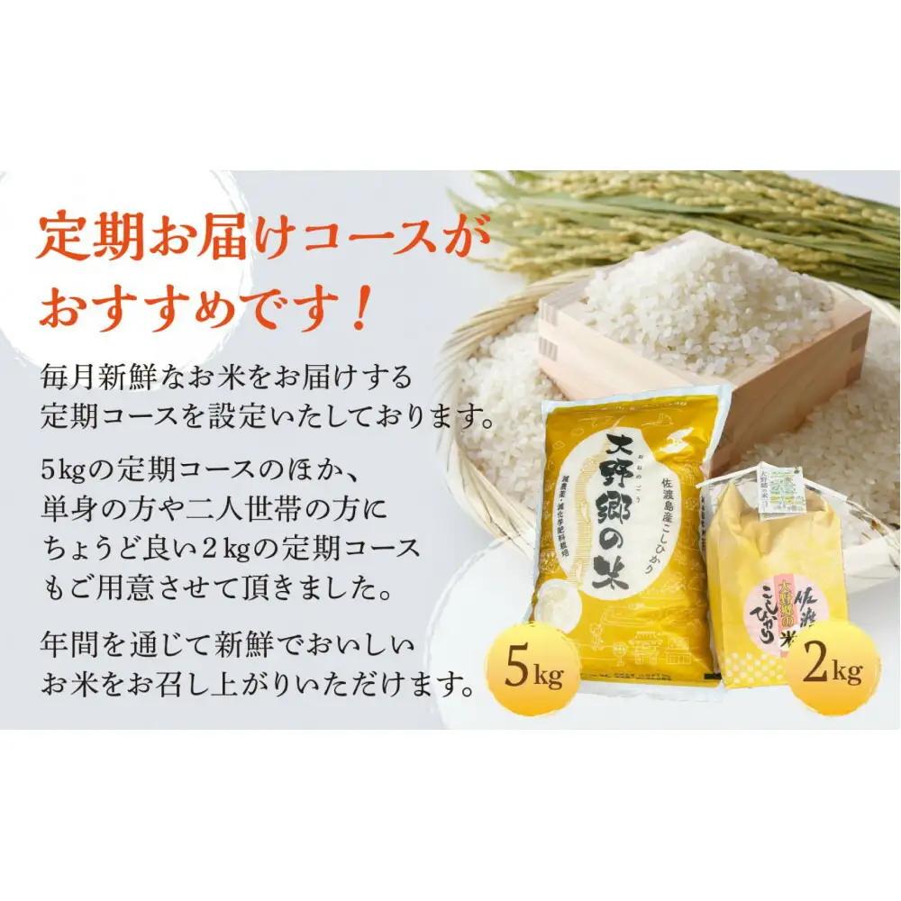 【定期便 6回 】コシヒカリ 精米 5kg 計30キロ | 新潟県 佐渡市 コシヒカリ