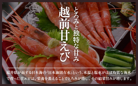 天然！越前甘エビ(卵なし)大サイズ 30尾前後(約500g × 1箱) 解凍方法説明書付き 船内凍結 酸化防止剤不使用！ 甘エビ本来の味をお楽しみください えび エビ 海老 甘エビ 甘えび 人気 海鮮