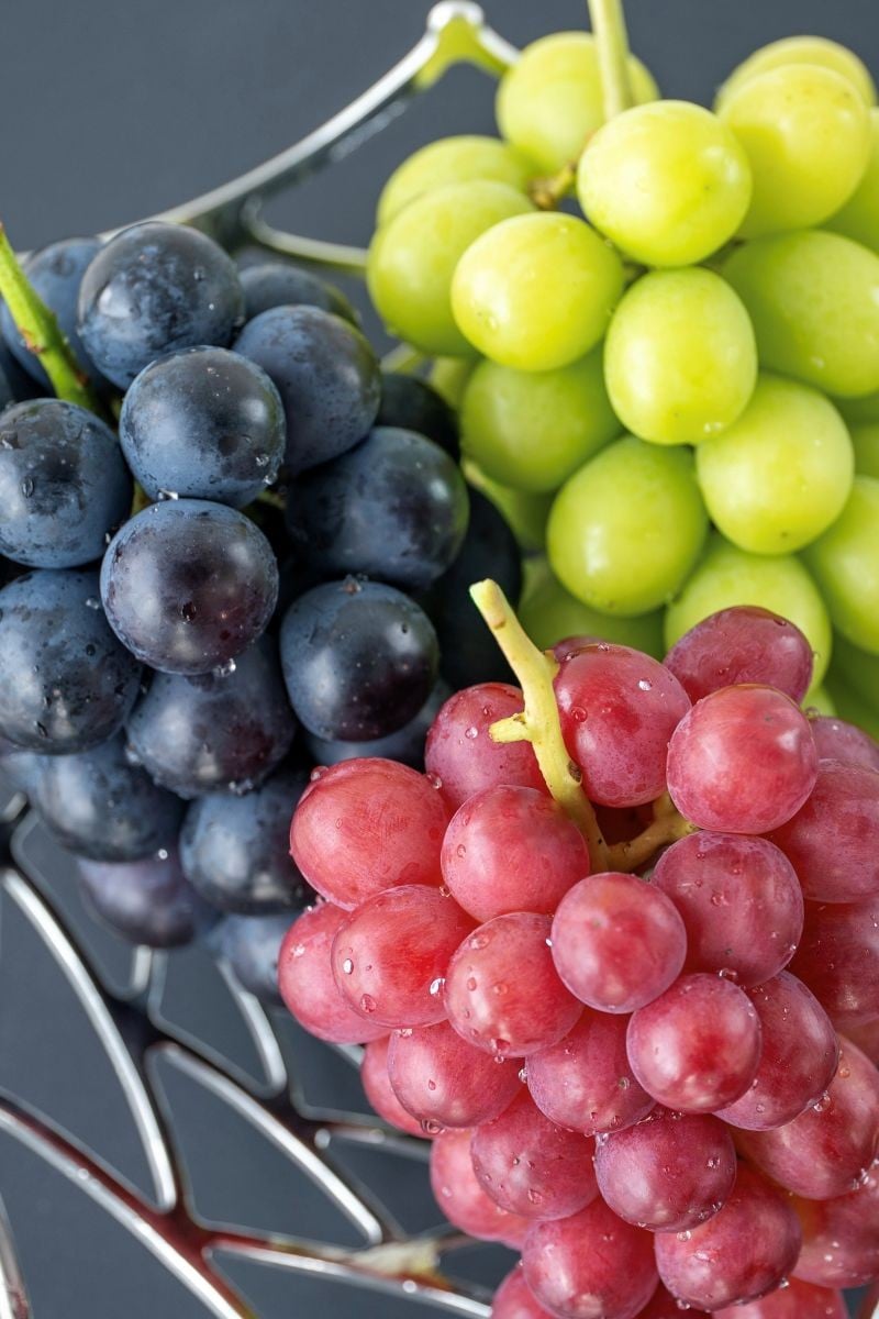 
            【先行受付：2026年発送】松本市山辺産　シャインマスカット・ナガノパープル・クイーンルージュ　各１房（1.5キロ以上） │ シャインマスカット ナガノパープル クイーンルージュ® 先行受付 ぶどう ブドウ 葡萄 フルーツ 果物 ふるさと納税 長野県 信州 松本市
          