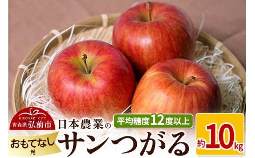 【25年9月～発送】りんご 平均糖度12度以上！ サンつがる 約10kg おもてなし用 クール便【先行受付】 青森 果物 フルーツ 林檎 リンゴ くだもの 予約【レビューキャンペーン】