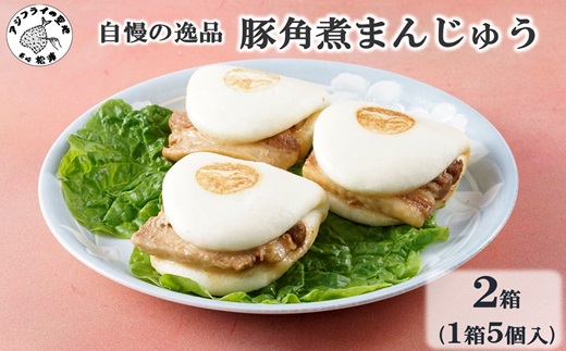自慢の逸品、豚角煮まんじゅう2箱(1箱5個入り)( 角煮 豚角煮 角煮まん 個包装 中華 ギフト 贈り物 プレゼント 贈答 )【B5-076】