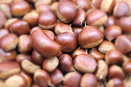 丹波栗 1kg 3L / 栗 チルド熟成