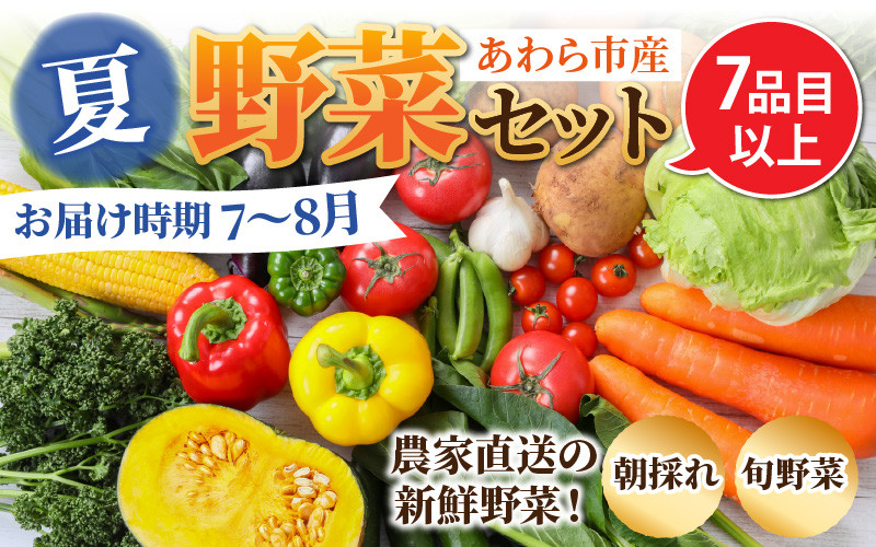 
【先行予約】農家直送 夏野菜セット 1箱 7品目以上 《元気に育った新鮮野菜！》※2025年7月中旬以降発送
