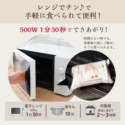 ふるさと納税 九重町 【常温】3日寝かせ発芽酵素 玄米ごはん12食セット |  | 02