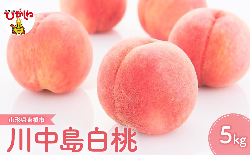 2024年産 もも「川中島白桃」5kg JA提供