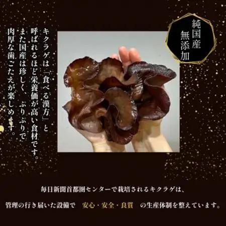 彩のきくらげ　生きくらげ500g　埼玉県産【配送不可地域：離島】【1692948】