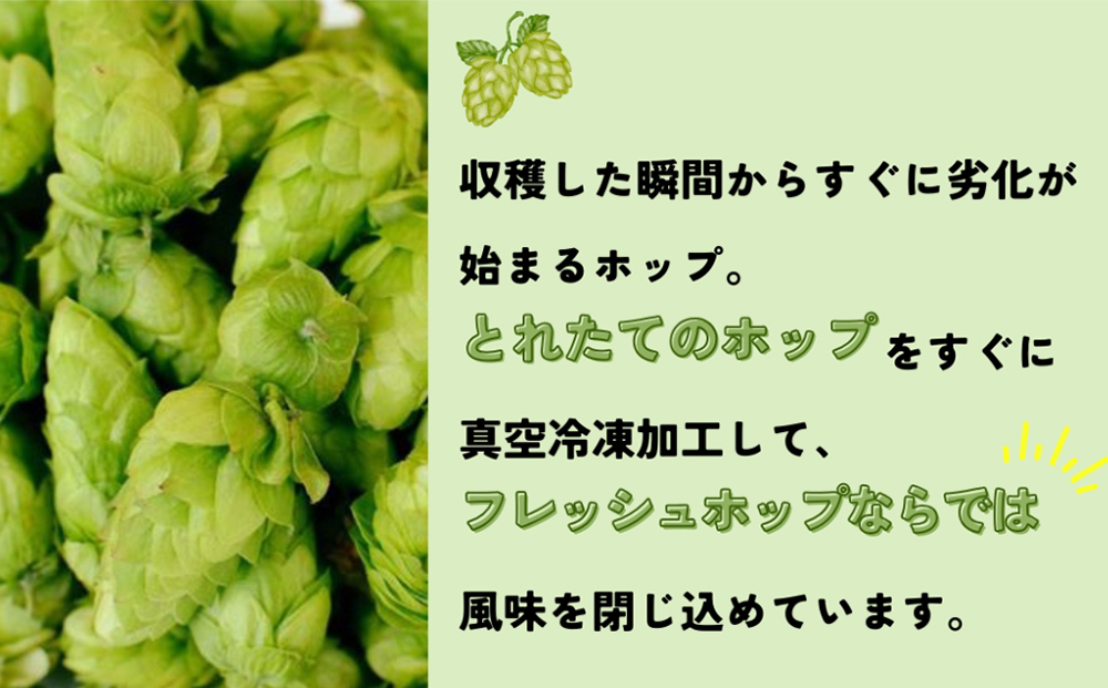 石巻クラフトビール 缶 飲み比べ 3種 24本セット クラフトビ