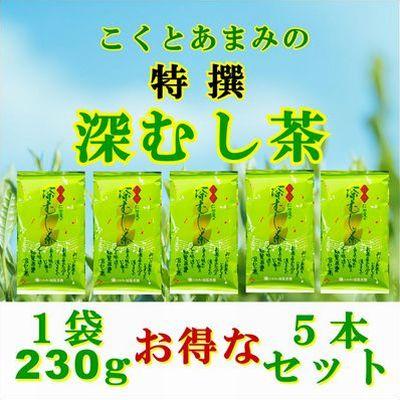 ふるさと納税 南九州市 知覧茶園の特撰深むし茶 5本セット