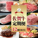 【ふるさと納税】【定期便】(12ヶ月連続毎月お届け) 佐賀牛 お肉の定期便 送料無料　 A5～A4 ブランド牛 ステーキ しゃぶしゃぶ スライス ハンバーグ 焼肉 ブロック セット 人気 ランキング 高評価 牛肉 高額 高額寄附 国産 佐賀県産 黒毛和牛 【Q264-001】