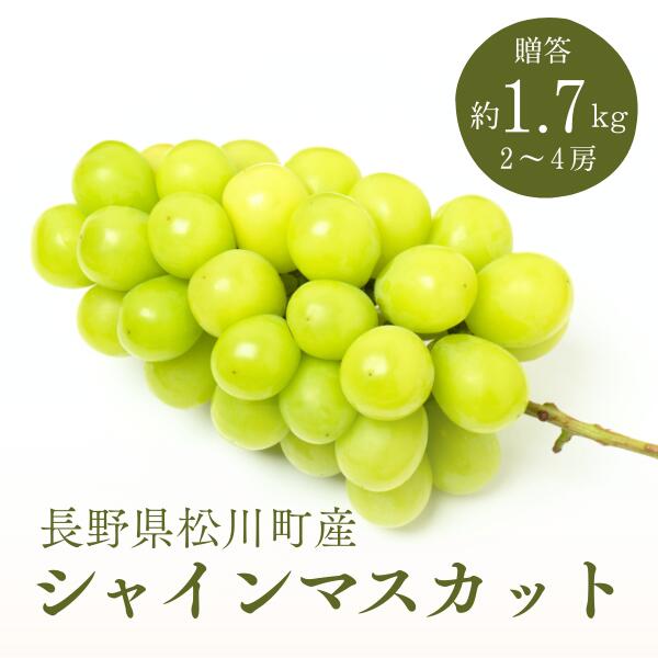 【ふるさと納税】＊先行予約＊シャインマスカット 贈答品質 1.7キロ／9月下旬頃～発送 松川町産 ギフト 種なし ぶどう シャイン マスカット 長野県 くだもの 果物 フルーツ お取り寄せ 2房 ～ 4房 KG01