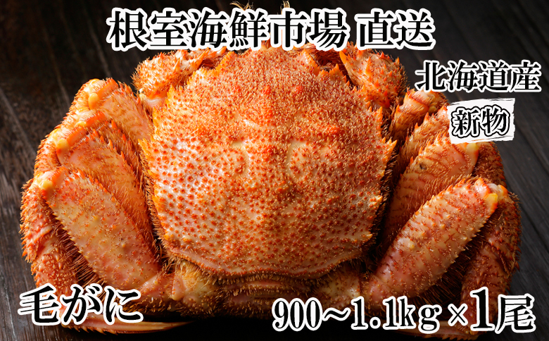 ＜12月8日決済分まで年内配送＞根室海鮮市場＜直送＞ボイル毛がに900g～1.1kg×1尾 D-28054