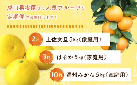 24-710．【3回定期便・早期受付・数量限定】＼人気フルーツを旬の時期にお届け！／成田果樹園のフルーツ定期便Bコース【配送時期：2025年2月・3月・10月】