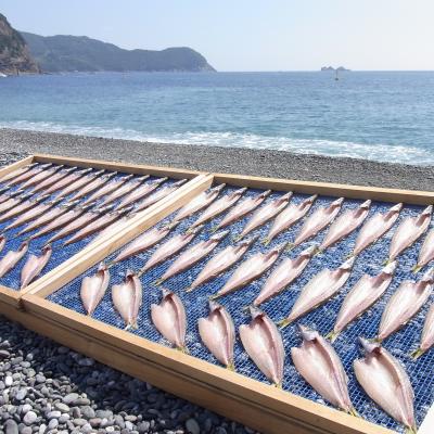 ふるさと納税 熊野市 海の恵み　干物詰め合わせA |  | 01