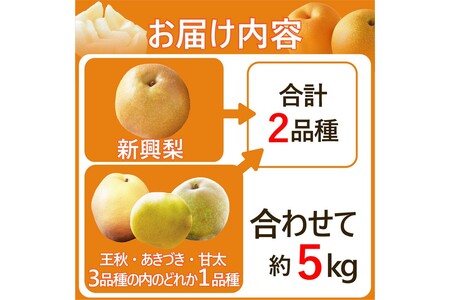 【先行予約】京丹後市産 新興梨と別品種の梨セット約5kg
