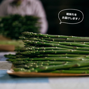 【2026年先行予約】 グリーンアスパラガス さぬきのめざめ 1.5kg アスパラ
