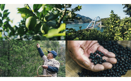 サクラオ ジントニック オリジナル 350mlｘ24