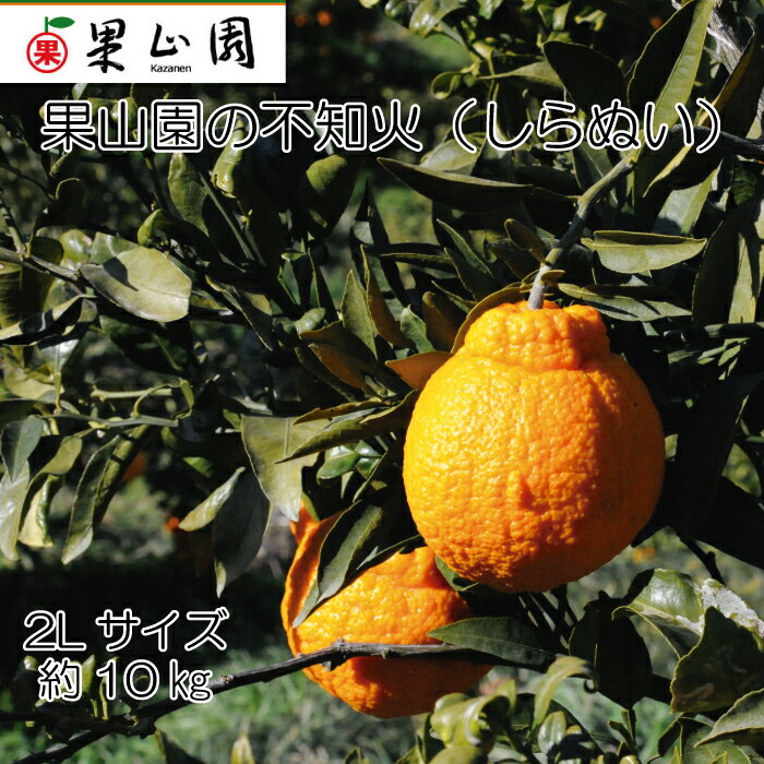 【ふるさと納税】果山園の不知火 2Lサイズ 約10kg みかん 柑橘 フルーツ 旬 あまい 濃厚 産地直送