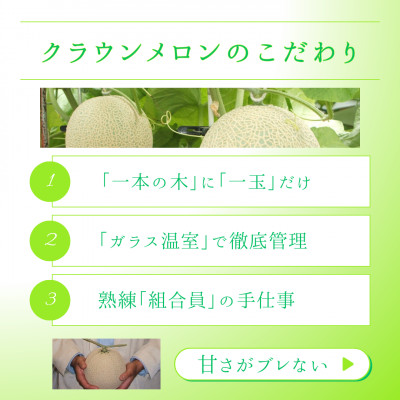 【2026年5月中旬より発送】食べ比べ 磐田市 クラウンメロン 白と山セット 約1.3kg×各1個【配送不可地域：離島・北海道・沖縄県】