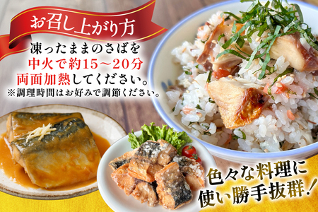 訳あり 骨取り トロ さば 切身 無添加 計3kg (500g×6p) 小分け 無塩